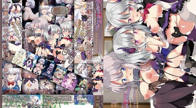 【有码中字】[魔人]Knight of Erin 4th tale（フォーステイル） メイドたちの乱交と最後の敵。エリンとナイトホークの絆エッチ.chs海报剧照