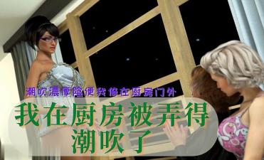 3D 我在厨房被弄得潮吹了海报剧照