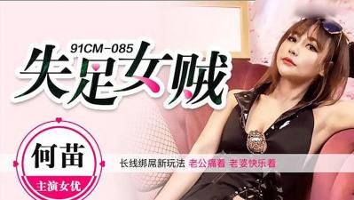 失足女贼海报剧照