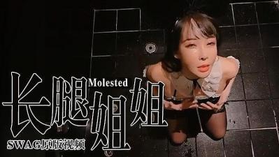 长腿女神 被主人惩罚海报剧照
