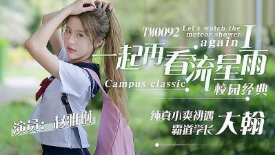 一起再看流星雨海报剧照